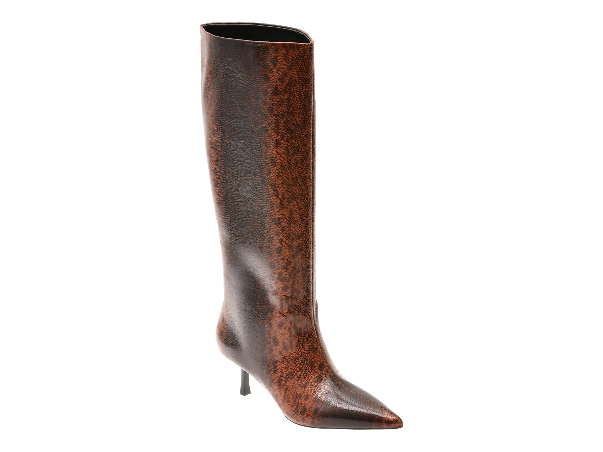 Cizme Elegante ALDO Maro | Model SELORA