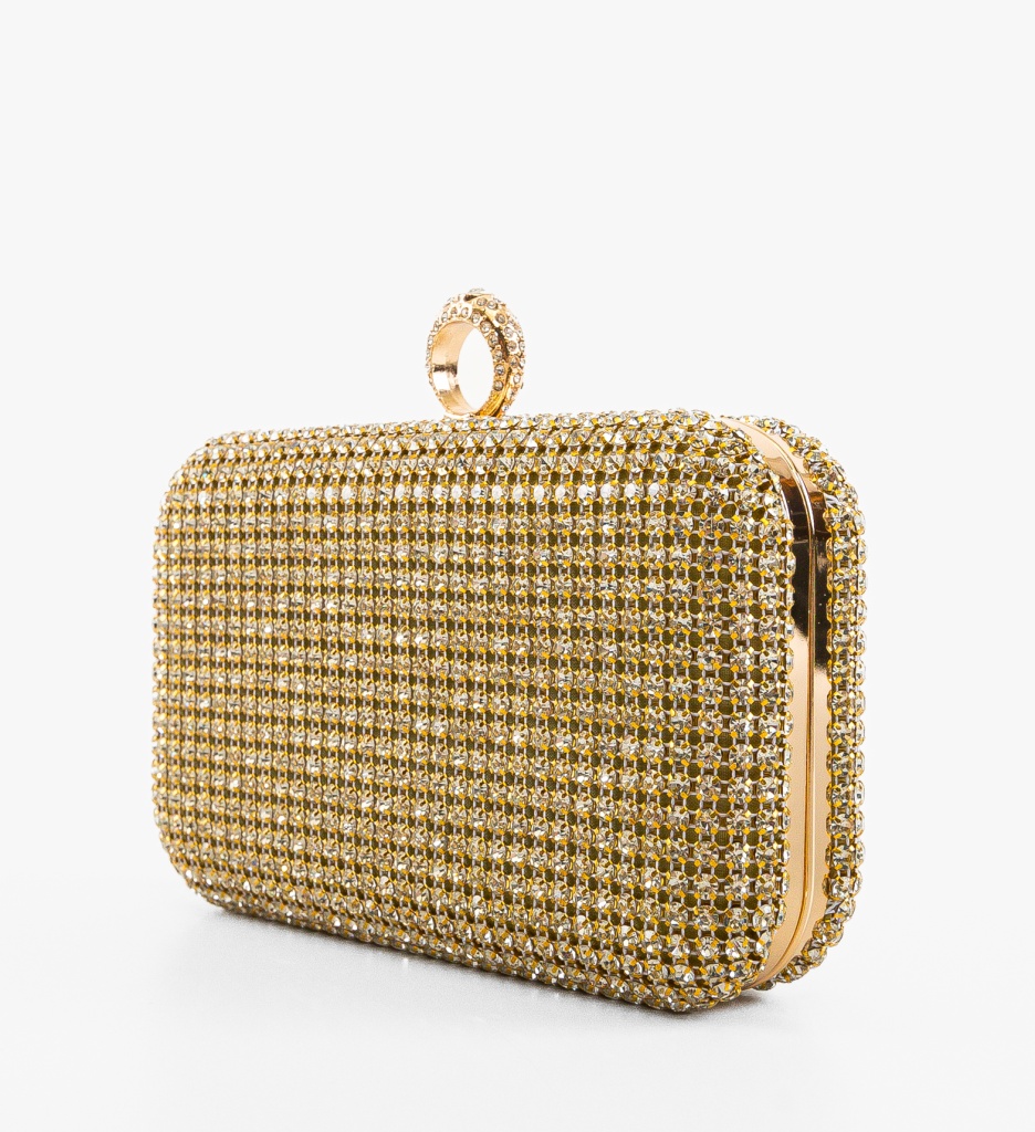 Geanta Plic Ynna Aurie - Stil si Eleganta - imagine 2