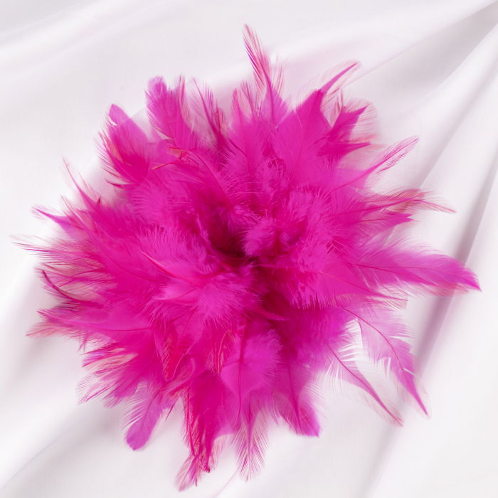 Brosa Pene Fucsia Shopika | Accesoriu Par Elegant