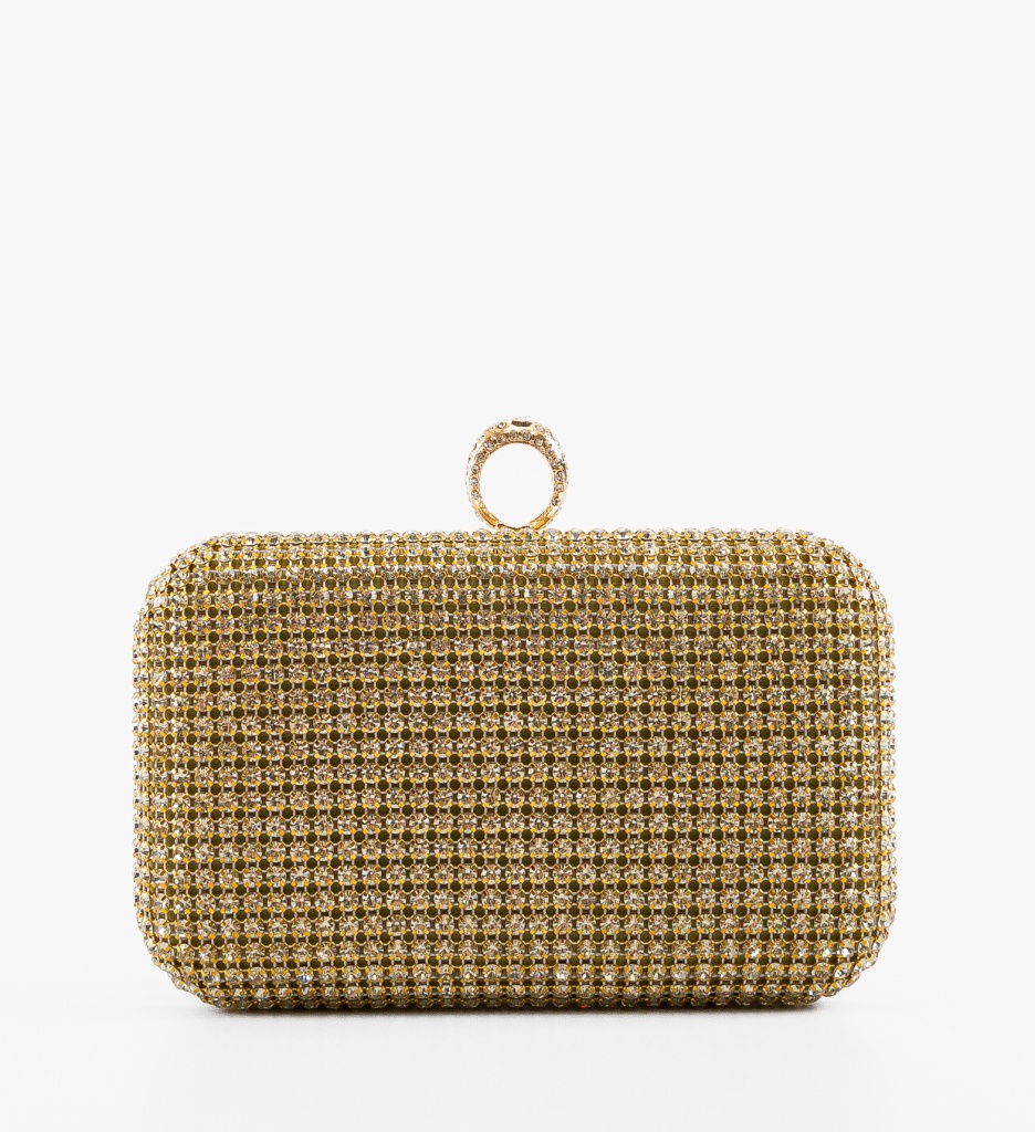 Geanta Plic Ynna Aurie - Stil si Eleganta