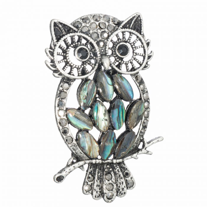 Brosă Pandant Bufniță Paua Shell | Shopika