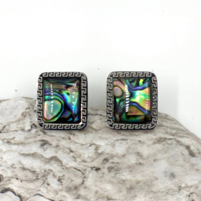 Cercei Otel Inoxidabil Paua Shell Multicolor | Shopika