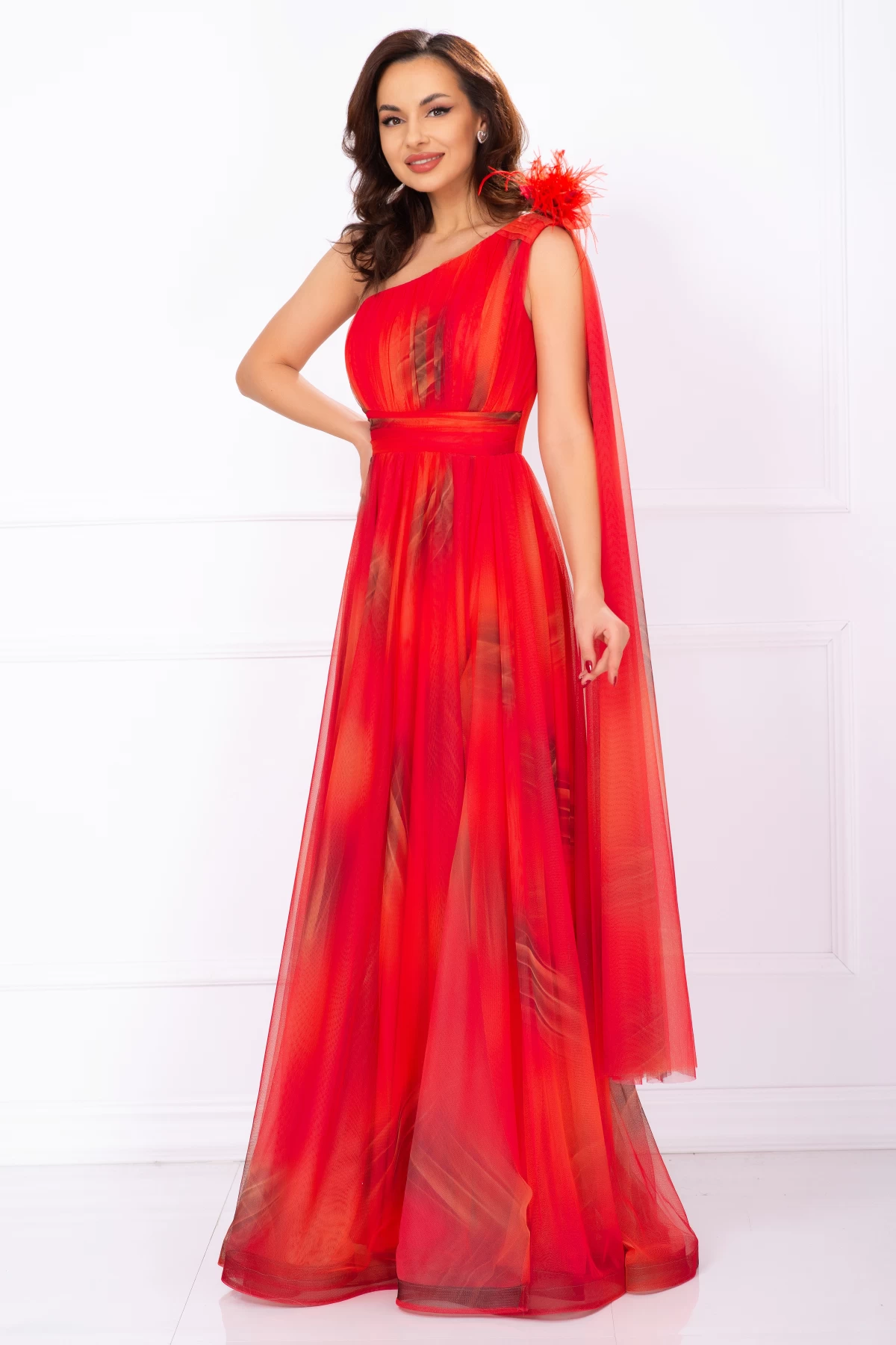 Rochie Josephine Rosie Eleganta cu Imprimeu Pictura