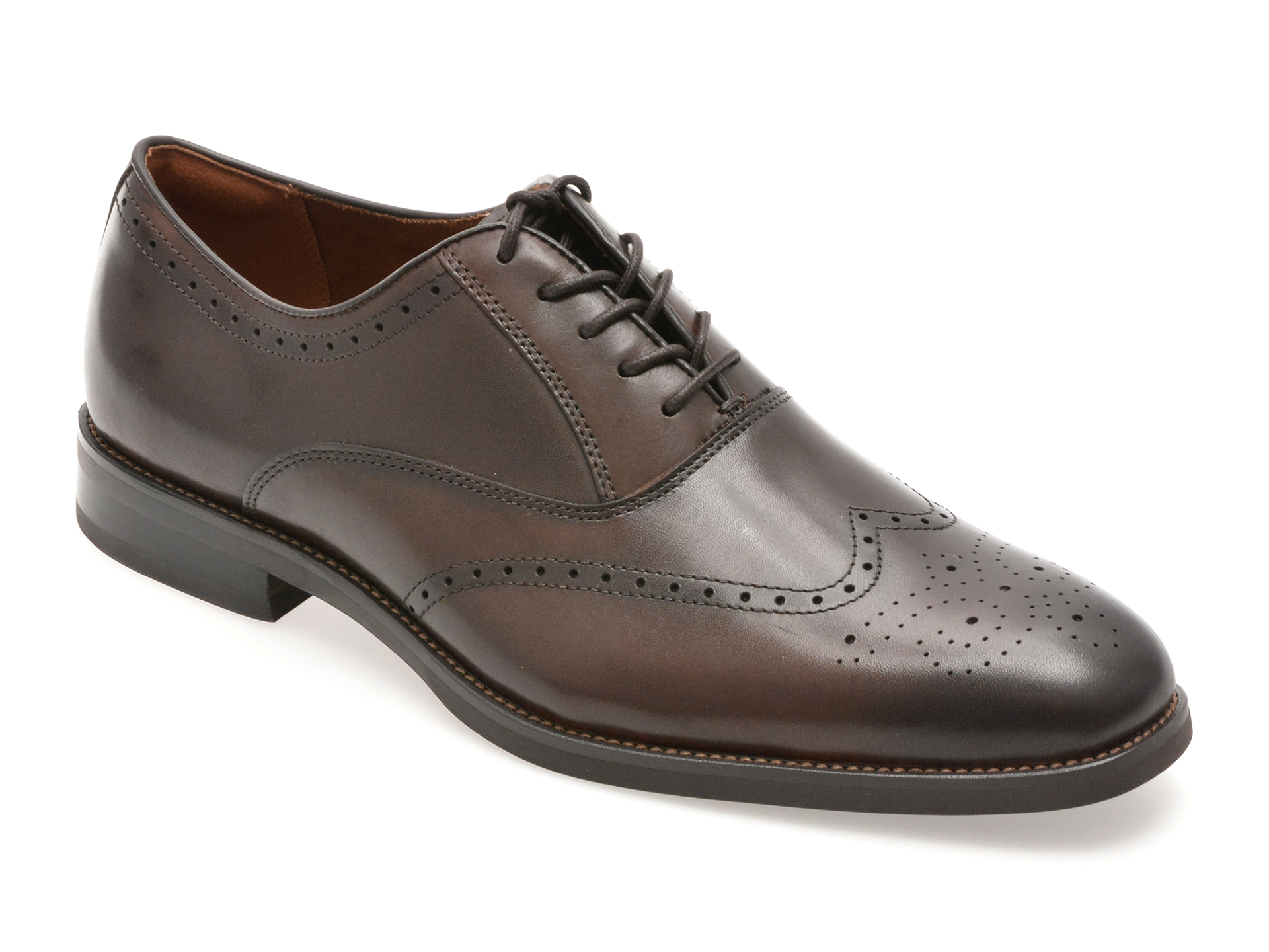 Pantofi ALDO Donald 201 - Eleganță și Stil