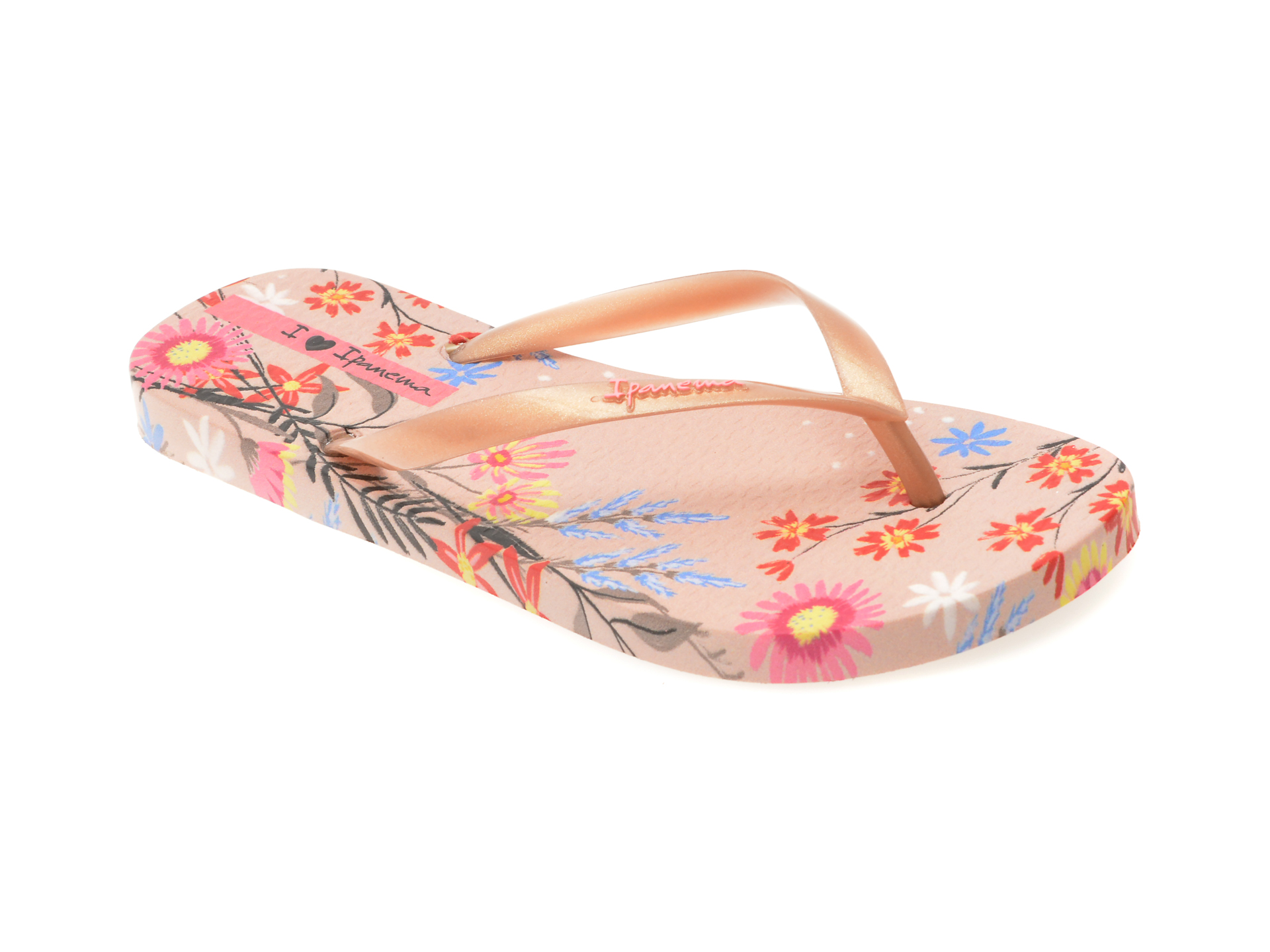 Papuci Ipanema PVC Multicolor - Confort & Stil