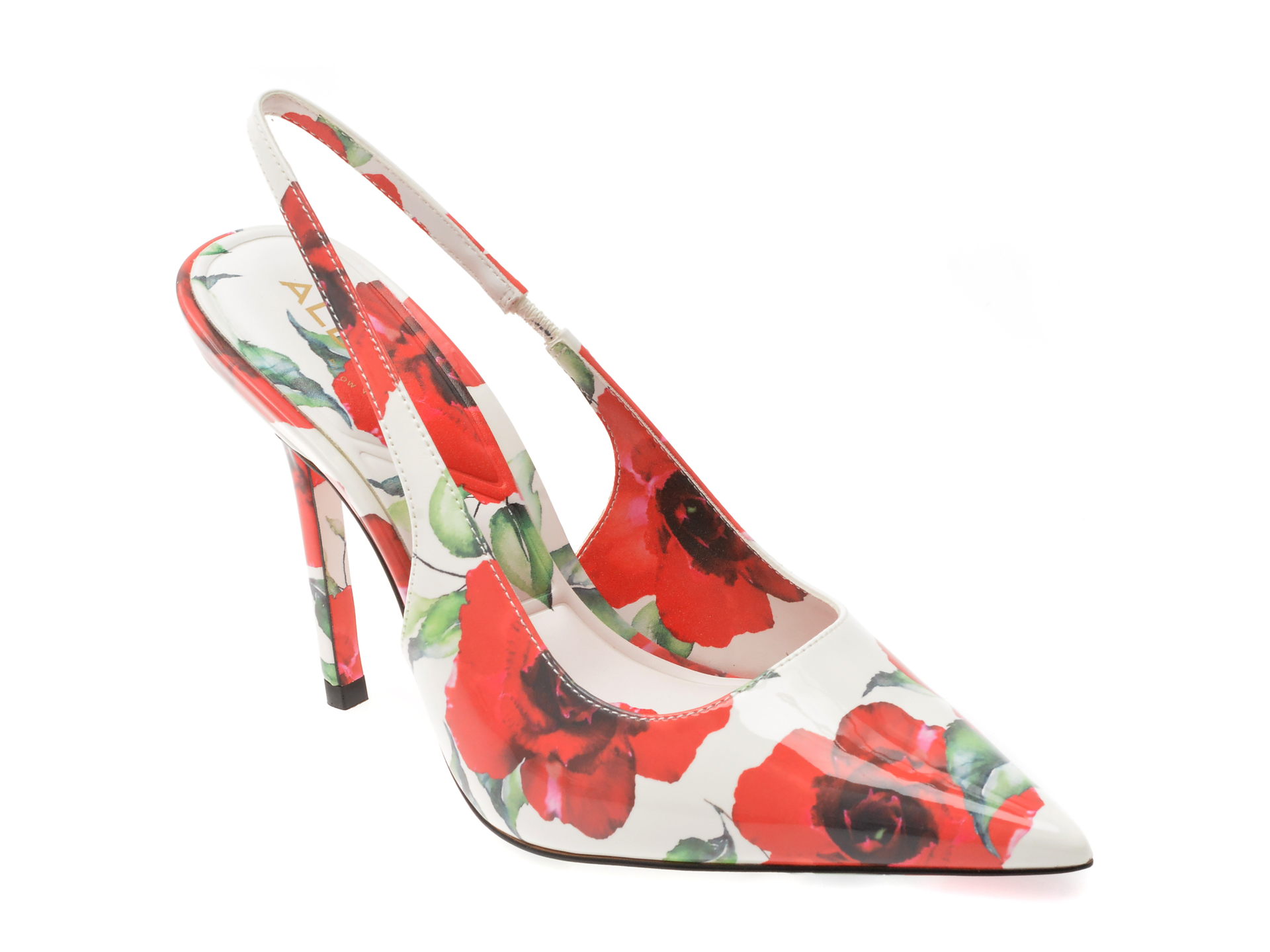 Pantofi Eleganți ALDO | Design Multicolor